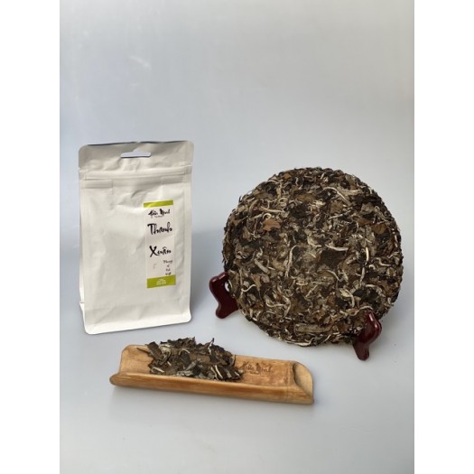 Youth White Tea – Thanh Xuân Trà